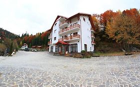 Hotel Paltinis